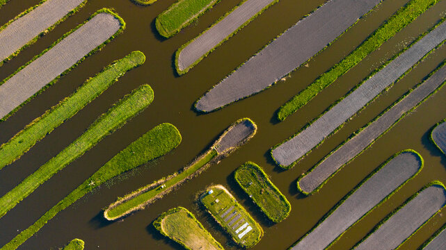 Aerial view of geometric plots of land, a patchwork of green and brown, juxtaposed against dark water in Het Rijk der Duizend Eilanden, Noord-Holland, Netherlands.