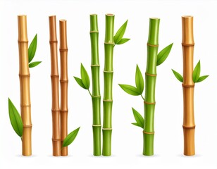 Fototapeta premium Bamboo green and brown decoration elements in realistic style.