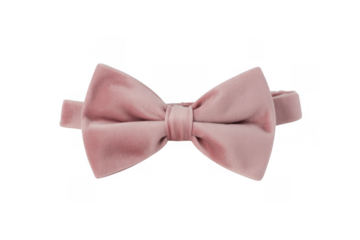 Pink bow tie fashion accessory isolated on a transparent background