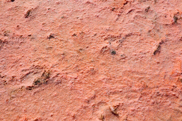 Larnaca close up of salt lake dried out in the summer is a complex network of four salt lakes (3 of them interconnected) of different sizes to the west of the city of Larnaca.