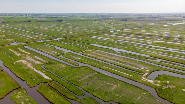 Aerial view of patchwork fields stitched together by narrow canals, creating a vibrant tapestry of green and blue under a soft sky, Grootschermer, North Holland, Netherlands.