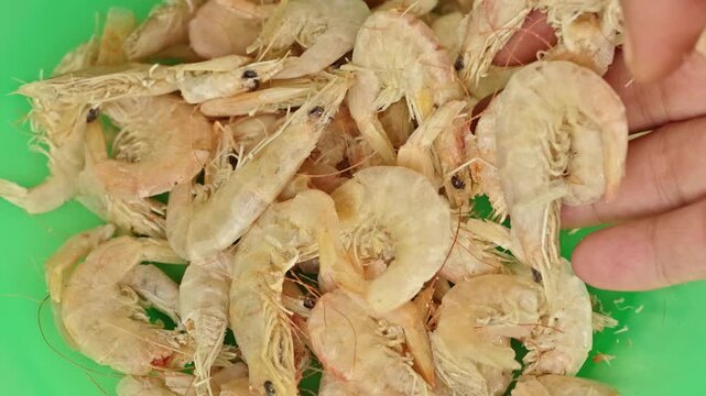 Hand holding and picking up a pile of small cream brown dried shrimps on a bright green plastic plate surface