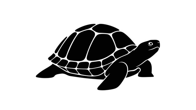 Stylized black and white silhouette of a tortoise showcasing detailed shell and limbs in