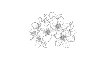 Elegant floral line art illustration featuring a cluster of delicate blooming flowers showcasing
