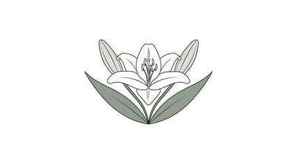 Elegant Line Art Depiction of a Blooming Flower with Symmetrical Leaves and Intricate Petal Details