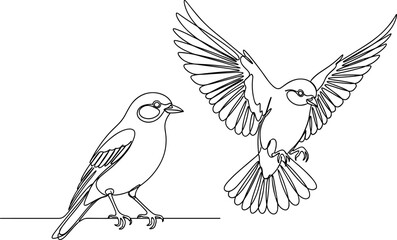 Obraz premium Continuous line drawing of two birds, sparrow or tit sitting and flying in air, minimalist nature vector art, outline.