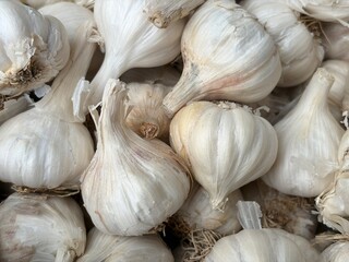 White onions closeup
