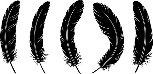 Black Feather Silhouette Set &ndash; Elegant Bird Feather Collection