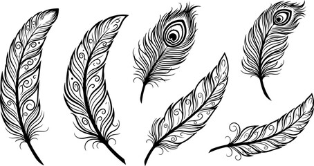 Black Feather Silhouette Set &ndash; Elegant Bird Feather Collection