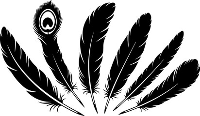 Black Feather Silhouette Set &ndash; Elegant Bird Feather Collection
