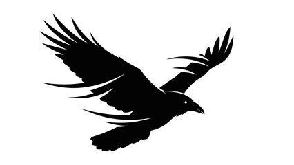 Obraz premium Silhouette of a soaring bird in flight capturing grace and freedom in black and white