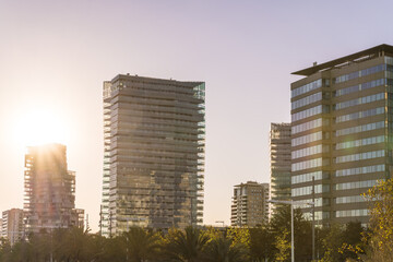 View of the sun-kissed, modern architecture of towering buildings rising above the lush green trees, creating a vibrant contrast against the skyline, Barcelona, Catalonia, Spain.