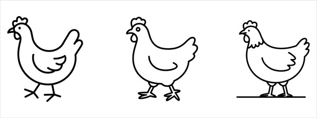 Fototapeta premium Three simple black line drawn chickens standing vector.
