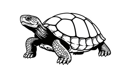 Detailed black and white illustration of a turtle showcasing intricate shell and limb details for