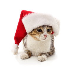 Tabby kitten wearing a red santa hat lying on white background.