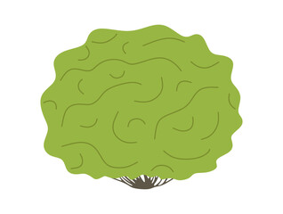 Green shrub, abstract bush. Outdoor nature decoration, summer vegetation element, shrubbery. Hand drawn doodle style, Colored flat vector illustration isolated on white background