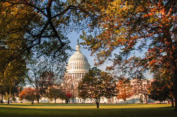 US Capitol Building in Washington, DC - The Capitol is among the most architecturally impressive and symbolically important buildings in the world.