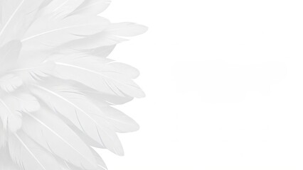 Naklejka premium Light and airy white feather texture background. Soft feather pattern for abstract design, banner, or wedding card with empty space. Cloud Dancer Color of the Year 2026