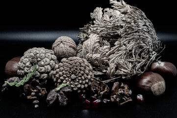 Beautiful still life photos of typical autumn fruits