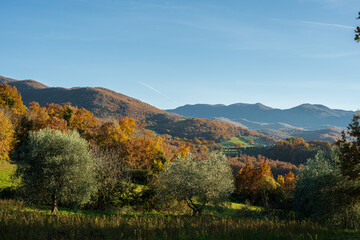 Molise is an Italian region with a stretch of coast overlooking the Adriatic Sea. It includes a...
