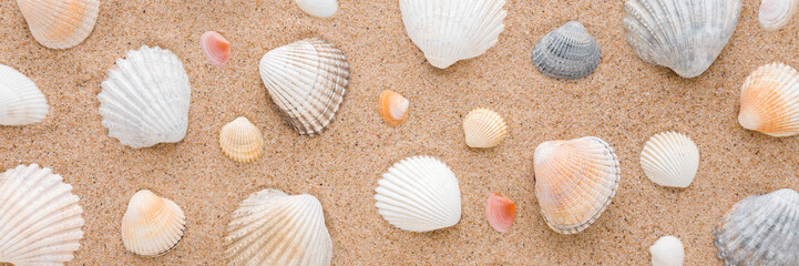 Different beautiful colorful sea shells on light brown dry sand background. Closeup. Seashells pattern. Wide banner. Top down view.