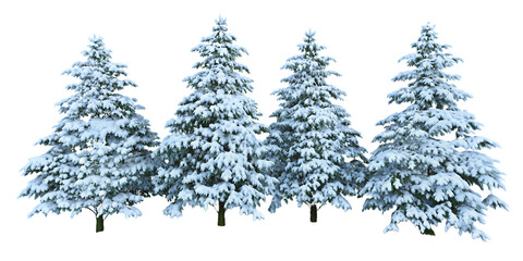 Snow covered pine trees on white background isolated on a transparent background.PNG.AI GENERATED