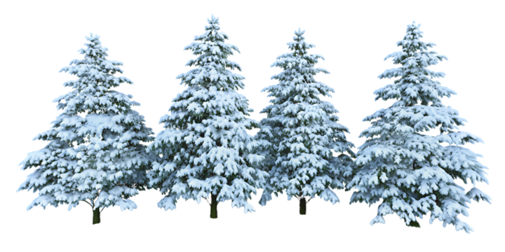 Snow covered pine trees on white background isolated on a transparent background.PNG.AI GENERATED - Powered by Adobe