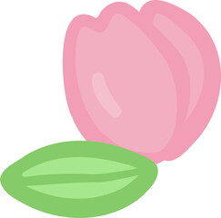 Fototapeta premium tulip