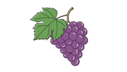 Fototapeta premium Fresh purple grapes with green leaf illustration, juicy and sweet fruit, isolated white background.