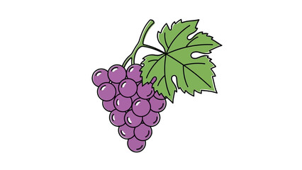 Vibrant Purple Grapes with Green Leaves, Isolated White Background.