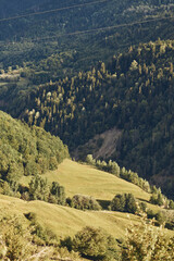 Fototapeta premium landscape hills forest valley meadow nature sunlight scenery trees countryside