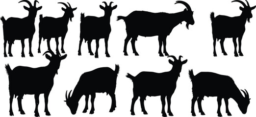 Collection of domestic goat silhouettes in various poses including grazing and standing, livestock farm animal silhouettes set, rustic agriculture vector illustration design,