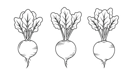 Three beet plants with root vegetables in a simple line art silhouette
