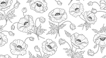 A beautiful seamless floral pattern of poppy flowers and buds in a detailed black and white hand-drawn line art illustration.