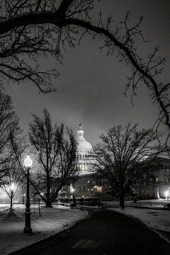 View of the United States Capitol Building dome glows softly amidst the stark winter landscape, framed by bare branches against the dark sky, Washington DC, Washington DC, United States.
