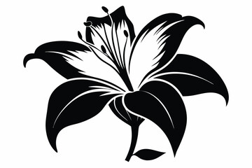 lily silhouette line art vector illustration