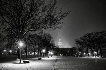 View of a winter's night casts an ethereal glow upon the U.S. Capitol building, as snow blankets the ground and bare trees reach into the sky, Washington DC, Washington DC, United States.