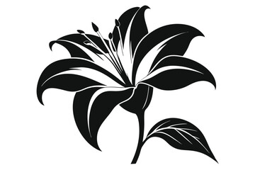 lily silhouette line art vector illustration