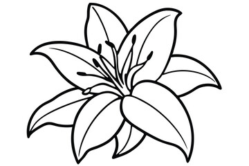 lily silhouette line art vector illustration