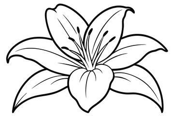 lily silhouette line art vector illustration