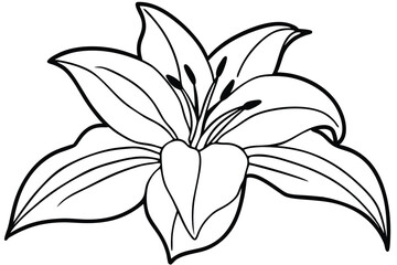 lily silhouette line art vector illustration