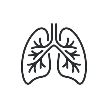 a simplified line drawing depicts a pair of human lungs showcasing the branching airways and emphasizing the respiratory system s structure
