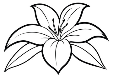 lily silhouette line art vector illustration