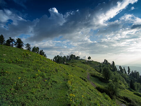 View of a lush green hill with scattered trees under a dramatic sky with billowing clouds, Sri Paye, Khyber Pakhtunkhwa, Pakistan.