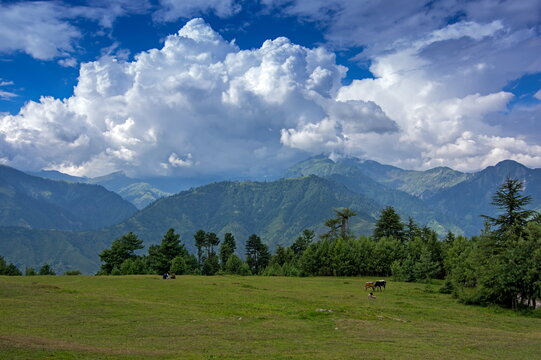 View of verdant meadows meeting shadowed mountain ranges under a dramatic sky, with scattered trees adding texture, Sri Paye, Khyber Pakhtunkhwa, Pakistan.