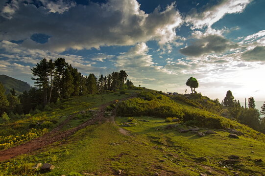 View of a lush green hill under a dramatic sky, with a dirt path leading toward scattered trees, creating a serene yet wild landscape, Sri Paye, Khyber Pakhtunkhwa, Pakistan.