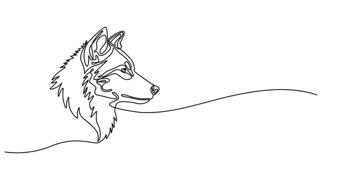 Animated self drawing of   One line drawing of wolf head in profile. Wolves mascot concept. Trendy continuous line animal mascot concept for icon. Drawing isolated on a white background. Animated,