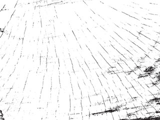 abstract background with spider