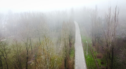 Winter garden birds on feeder © János István Lukács
