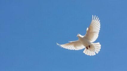 Fototapeta premium A pristine white dove soars gracefully against the vast canvas of a brilliant azure sky, its wings spread wide in a gesture of freedom and peace.